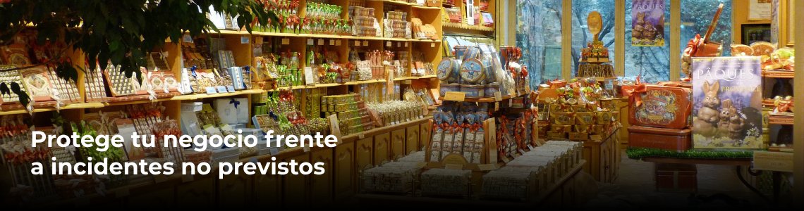 presupuesto seguro comercio