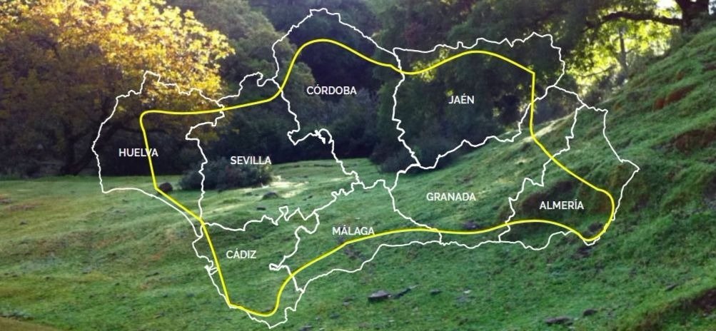 ruta en bici en andalucia