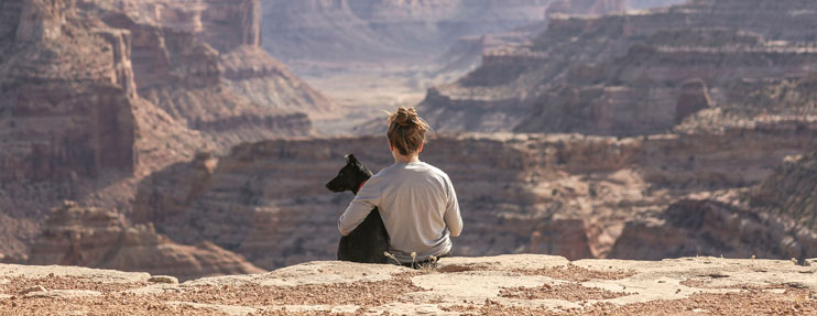 viajar con tu mascota en vacaciones